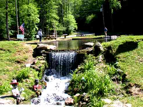 Blairsville, GA : creek in Blairsville