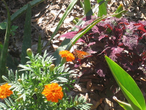 Milton, FL : Flower's by Michael