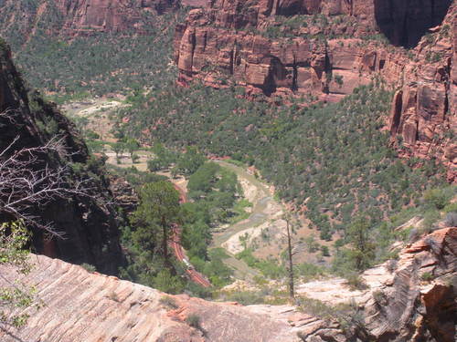 Springdale, UT : Sweet view