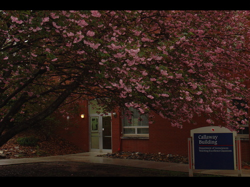 Carrollton, GA : Callaway Building before 2008 Renovation UWG