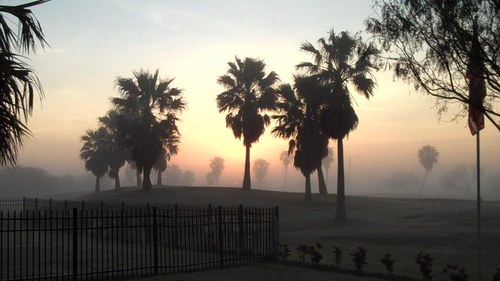 Laguna Vista, TX : Foggy Sunrise SPIGC
