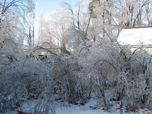 Petersham, MA : Winter Ice Storm