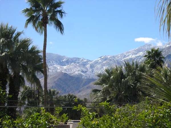 Palm Springs, CA : Mountains turned gree from rain