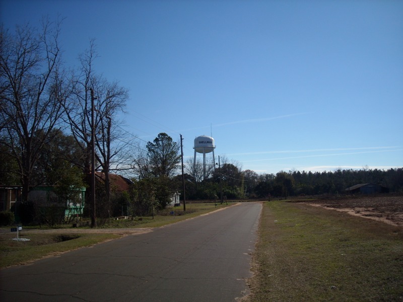Shellman, GA Water Tower Shellman photo, picture, image