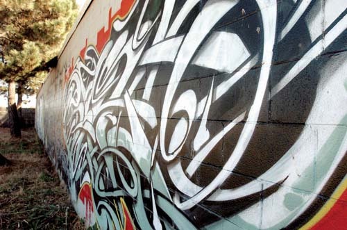 Vallejo, CA: Lake Dalwigk in South Vallejo is a "Hot Spot" for graffiti