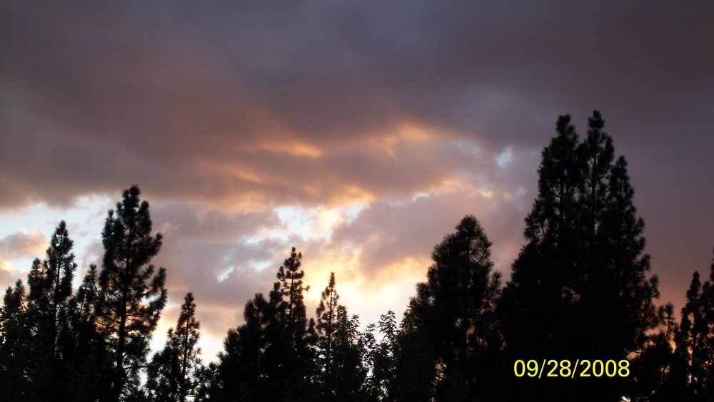 Portola, CA: sunset in Portola
