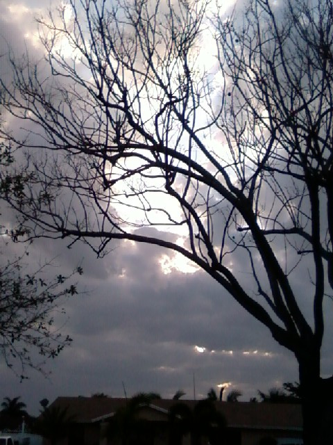 Kendall, FL : kedall sky