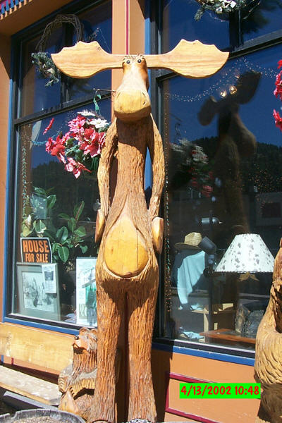 Idaho Springs, CO : Moose