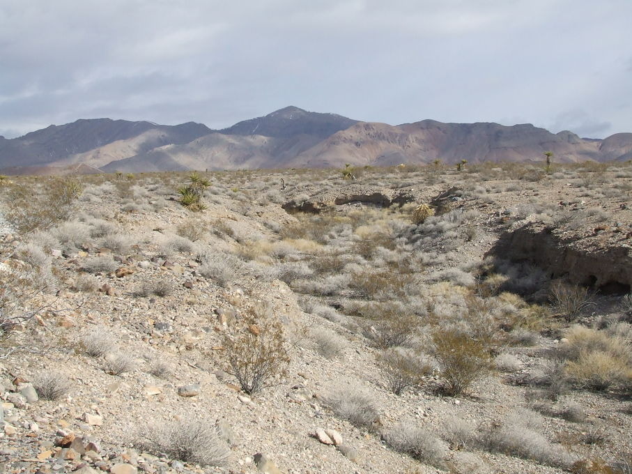 North Las Vegas, NV: typical Mojave Desert wash