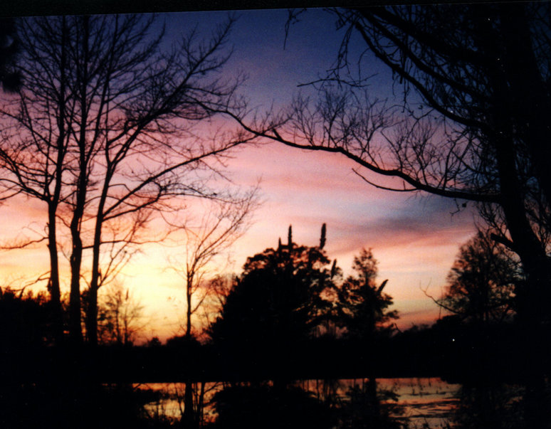 Ironton, MO : Sunrise in Orangeburg, South Carolina