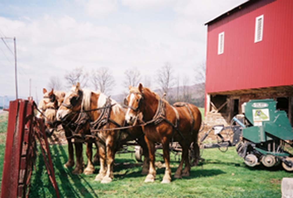 Loganton, PA: Rural life among the Amish in Loganton, PA