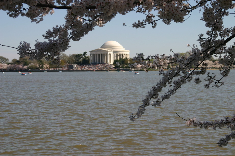 Washington DC Jefferson Memorial Across Tidal Basin Photo Picture