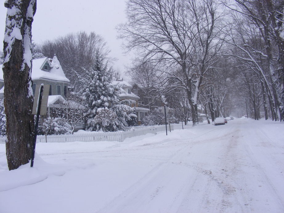 Applewold, PA: allegheny avenue after february's snowstorm, 2010