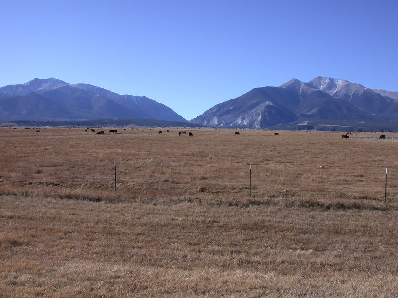 Buena Vista, CO: View of land on the south end of Buena Vista on Hwy 285