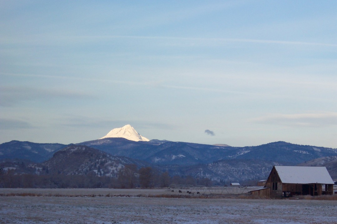 Tygh Valley, OR : Mt. Hood  view from Tygh Valley, Or