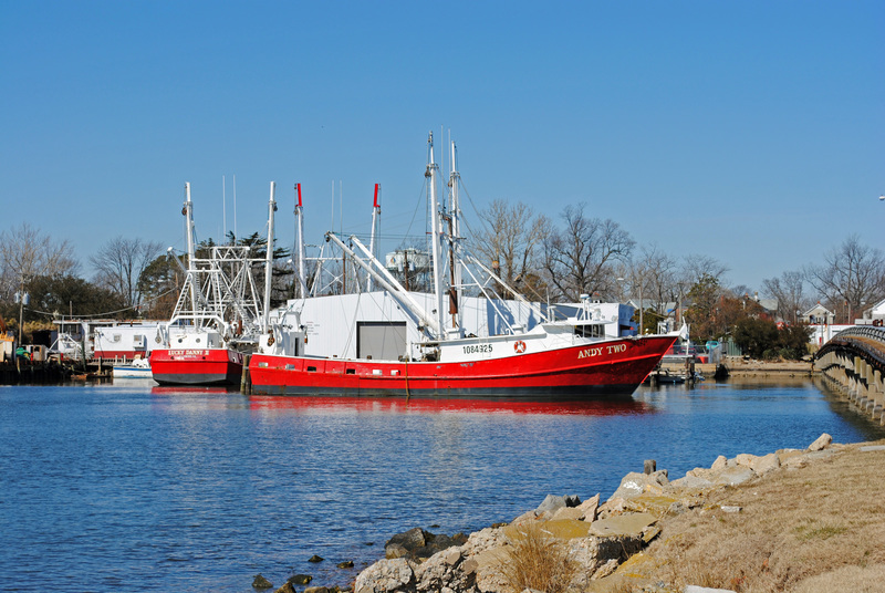 Hampton, VA: FISHING BOATS AT POQUOSON