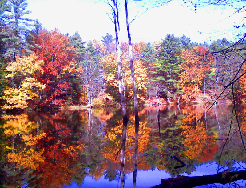Windham, ME: Dundee Pond, Fall 2010