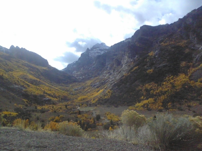 Spring Creek, NV: view from Lamoille canyon looking towards spring creek
