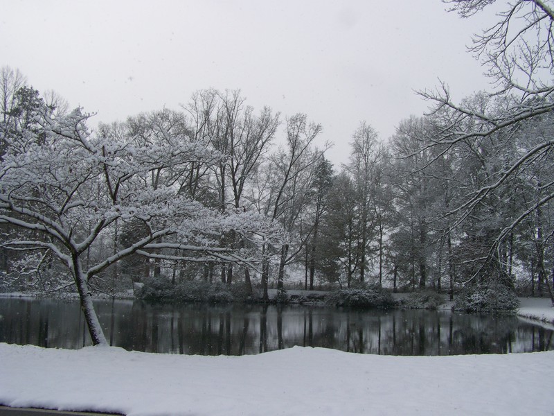 Jefferson, GA: The perfect snowy pond on Jefferson River Road.