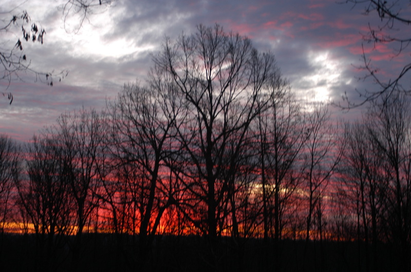Coatesville, PA: Sunrise in E. Fallowfield, Coatesville, PA