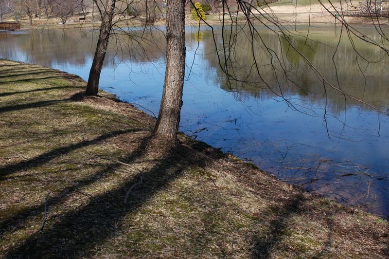 Vienna, VA: Blue pond... Spring at the Meadowlark Botanical Garden in Vienna, Virginia