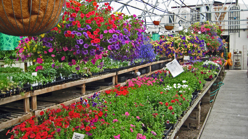 Loveland, CO: greenhouse in loveland colorado Gateway Garden