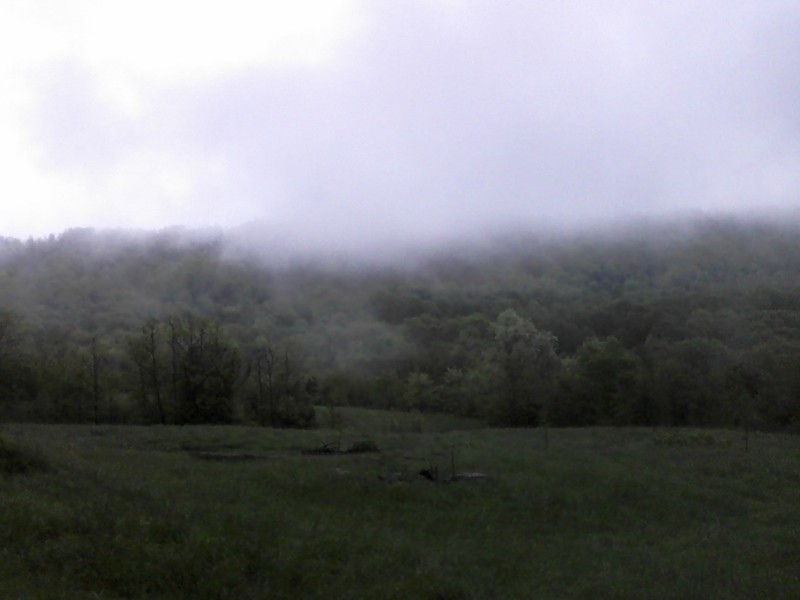 Elkins, AR: fog on the mountian