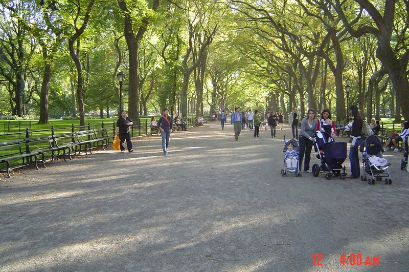 Manhattan, NY: Central Park