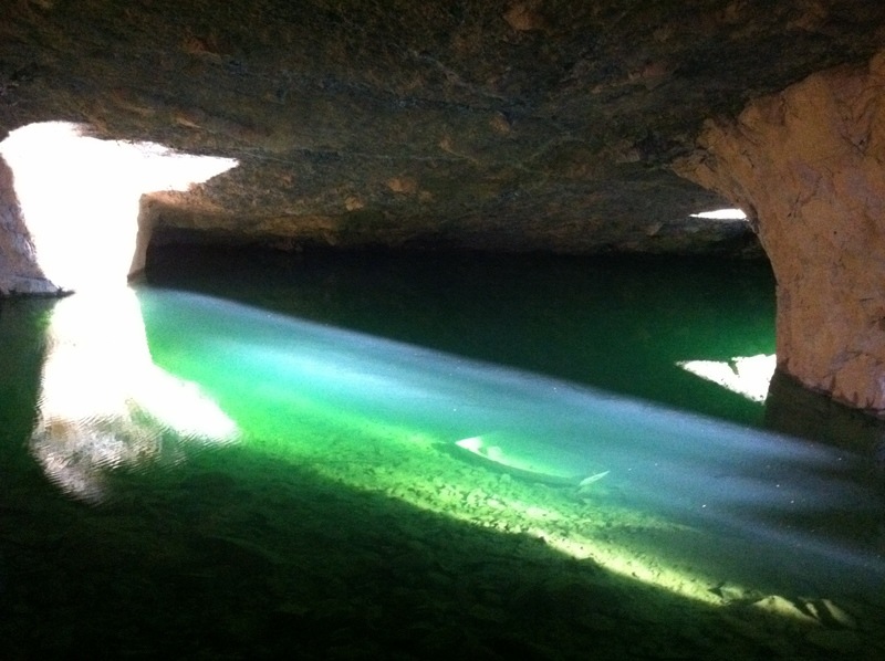 Rosendale, NY: Rosendale caves..... Sunken boat.