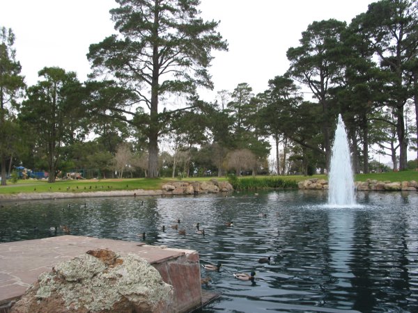 Santa Maria, CA: A big park in Santa Maria with a lake