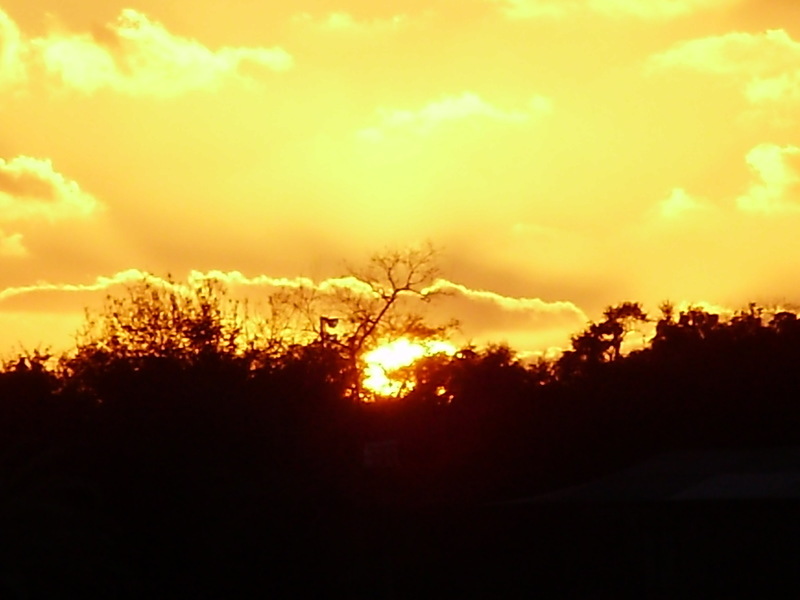 Spring Hill, FL: sunset in spring hill