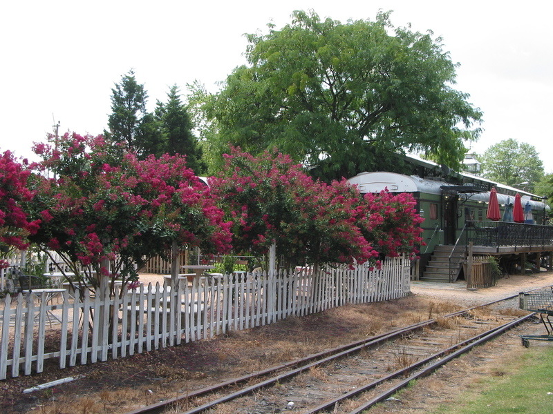 Carrboro, NC: Crepe myrtles in bloom along the beer garden behind Southern Rail Restaurant