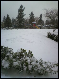 SeaTac, WA: A snowy Day !