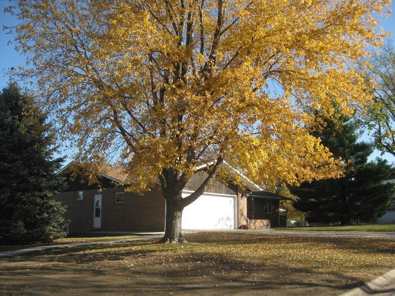 Sutton, NE: Fall in Nebraska