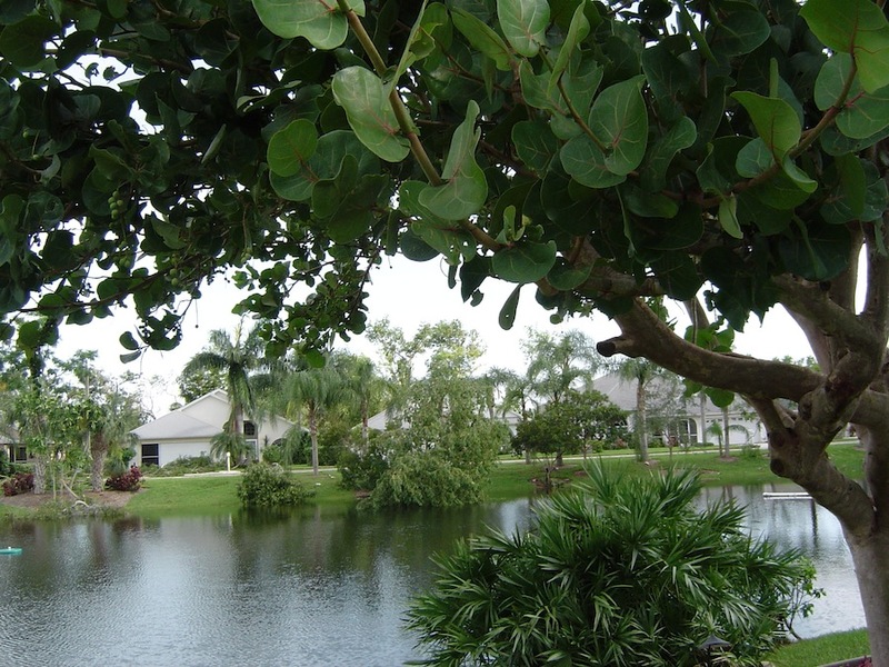 North Fort Myers, FL: Pond in Palm Island Community - N Ft Myers