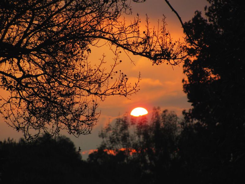 Rancho Cucamonga, CA: Cucamonga sunrise