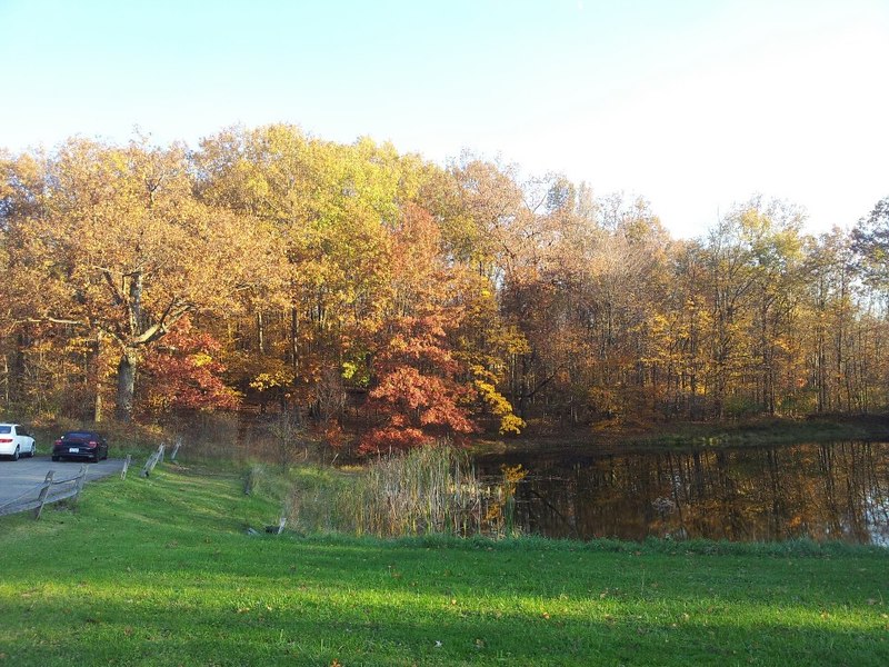Hermitage, PA: lake wood apt. in fall