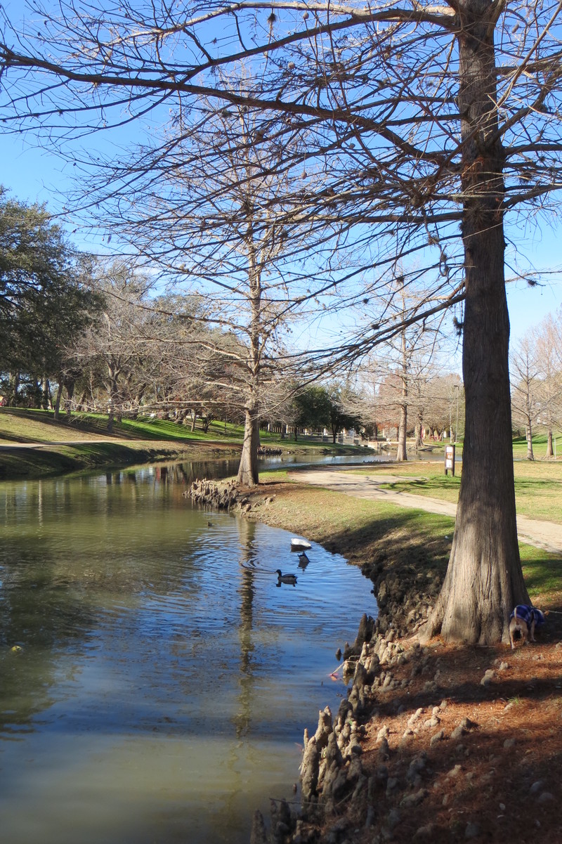 Uvalde, TX : Lagoon in DeLeon Park photo, picture, image (Texas) at