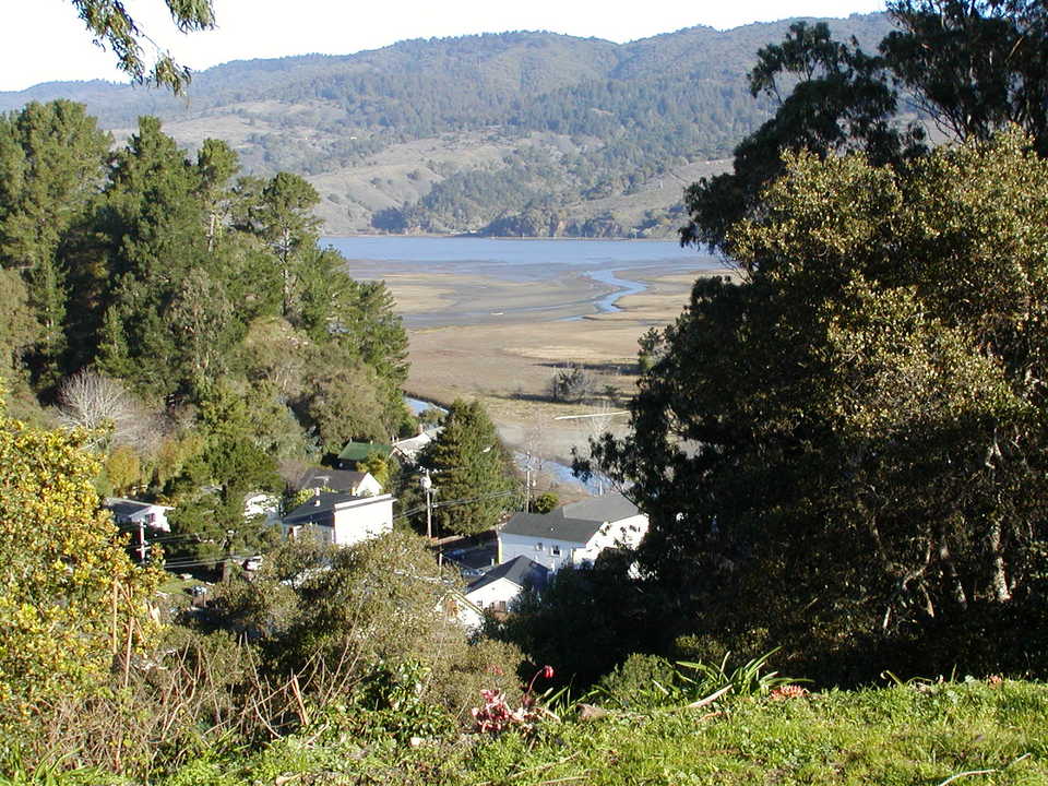 Bolinas, CA : bolinas