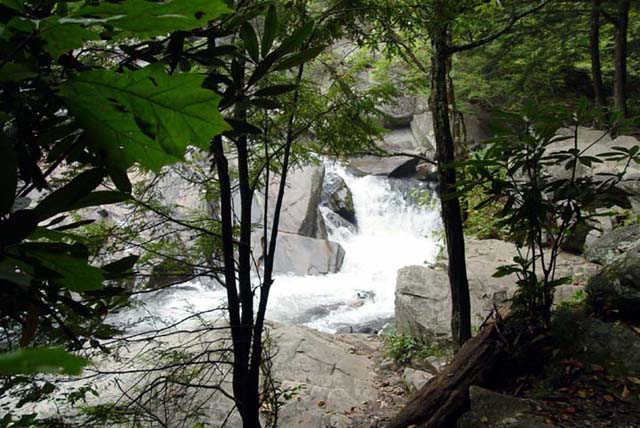Townsend, TN : River_Townsend