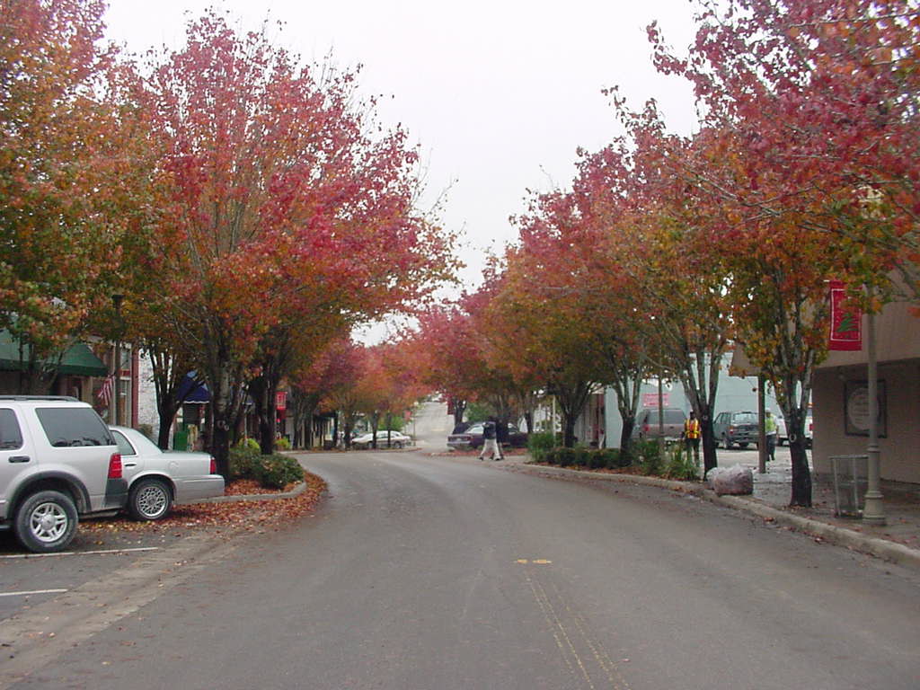 Alachua, FL : Main Street in fall photo, picture, image (Florida) at