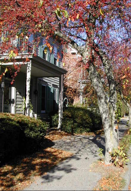 Lambertville, NJ : A typical Lambertville residential street