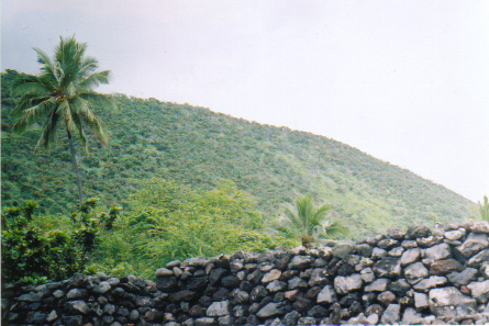 Kealakekua, HI : Heiau at Kealakekua Bay
