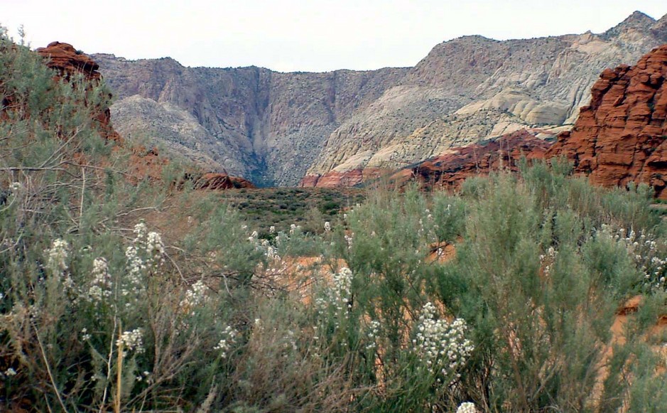 St. George, UT: Snow Canyon located just a few miles from our city center