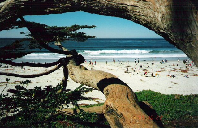 carmel ca beach