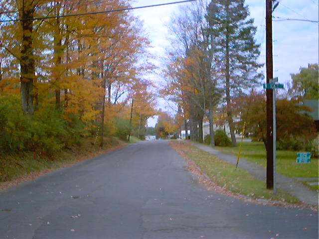 Wellsville, NY : View of Wellsville - Noth Highland Ave