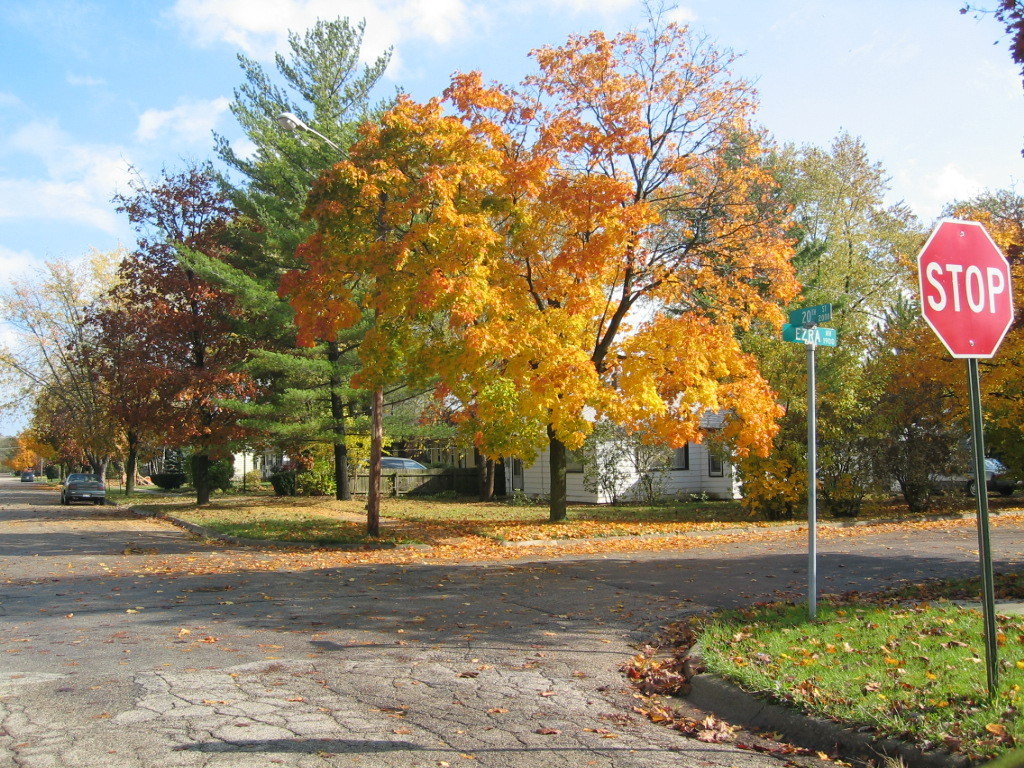 Zion, IL: Homes on Ezra and 20th Street