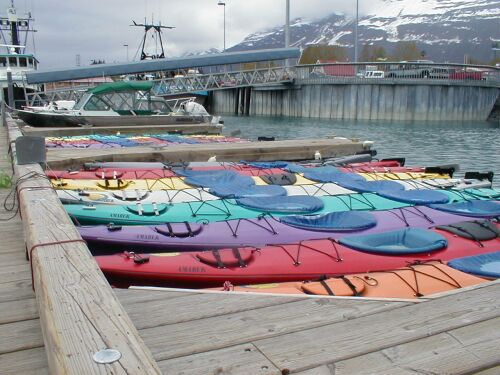 Valdez, AK: Kayaks in Valdez Boat harbor.