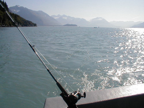 Valdez, AK : Trolling for Valdez Silvers