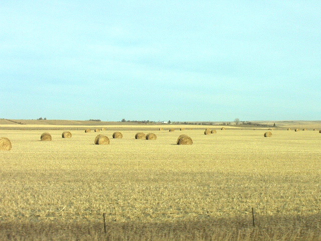 Williston, ND: Lots of farm land along Highway 2